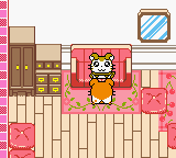 screenshots/Game Boy Color/Hamtaro - Ham-Hams Unite!/Hamtaro - Ham-Hams Unite! (Eng) 013.png